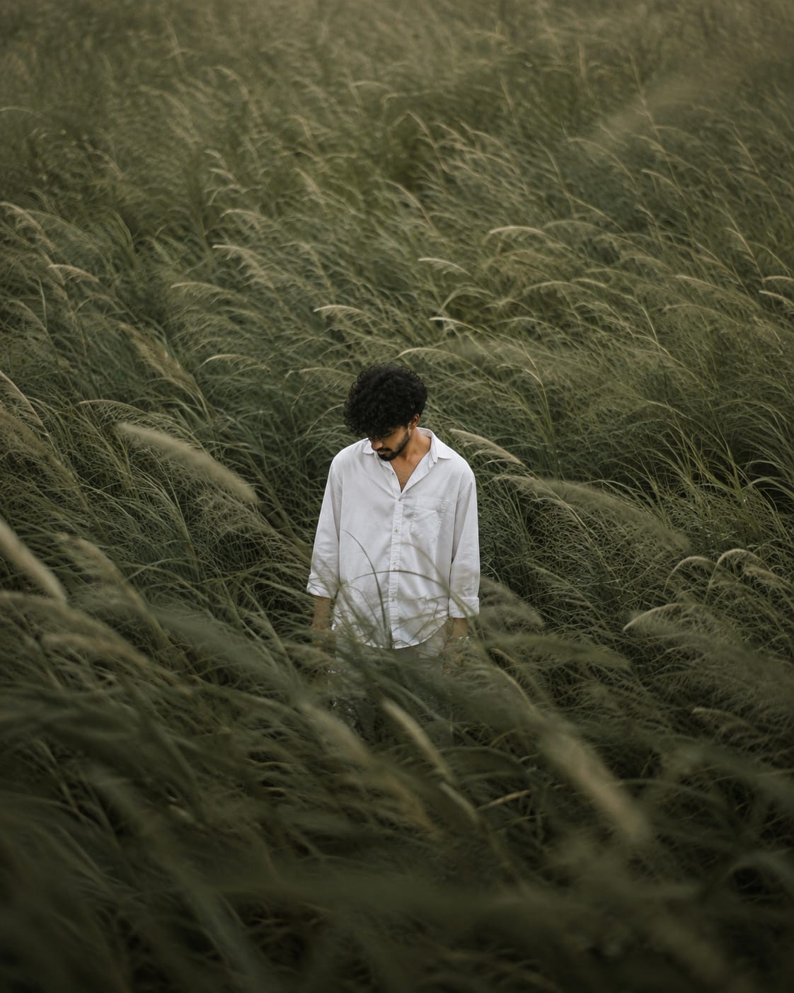 Boy aesthetic cinematic field portrait AI photo prompt with white shirt