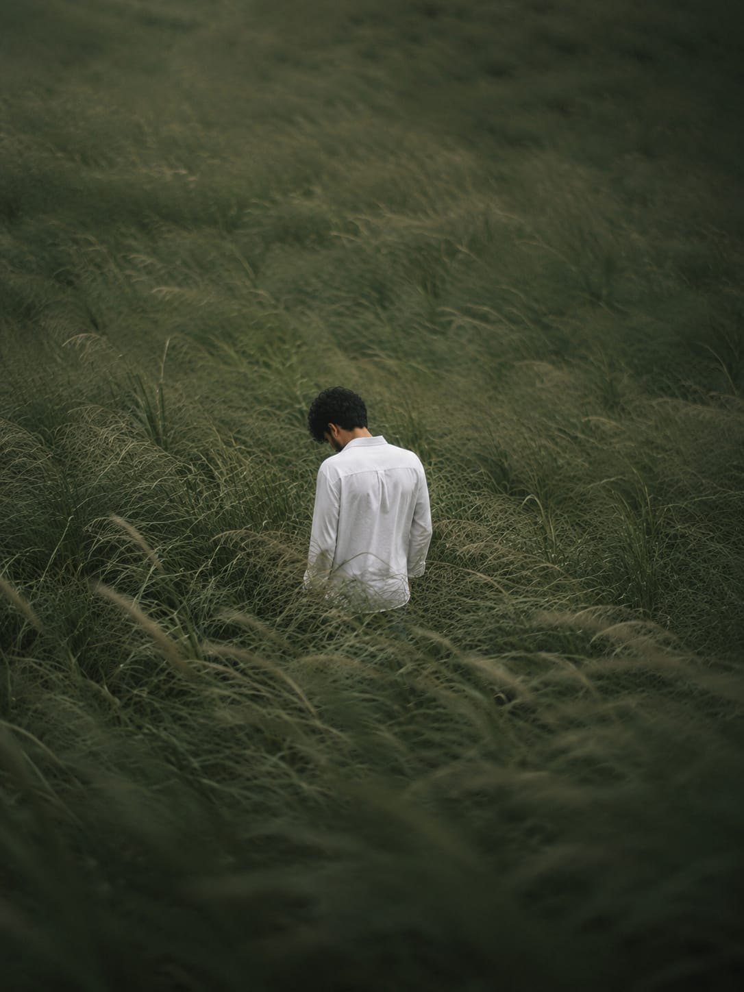 Boy aesthetic grass field photo prompt with white shirt and moody green tone